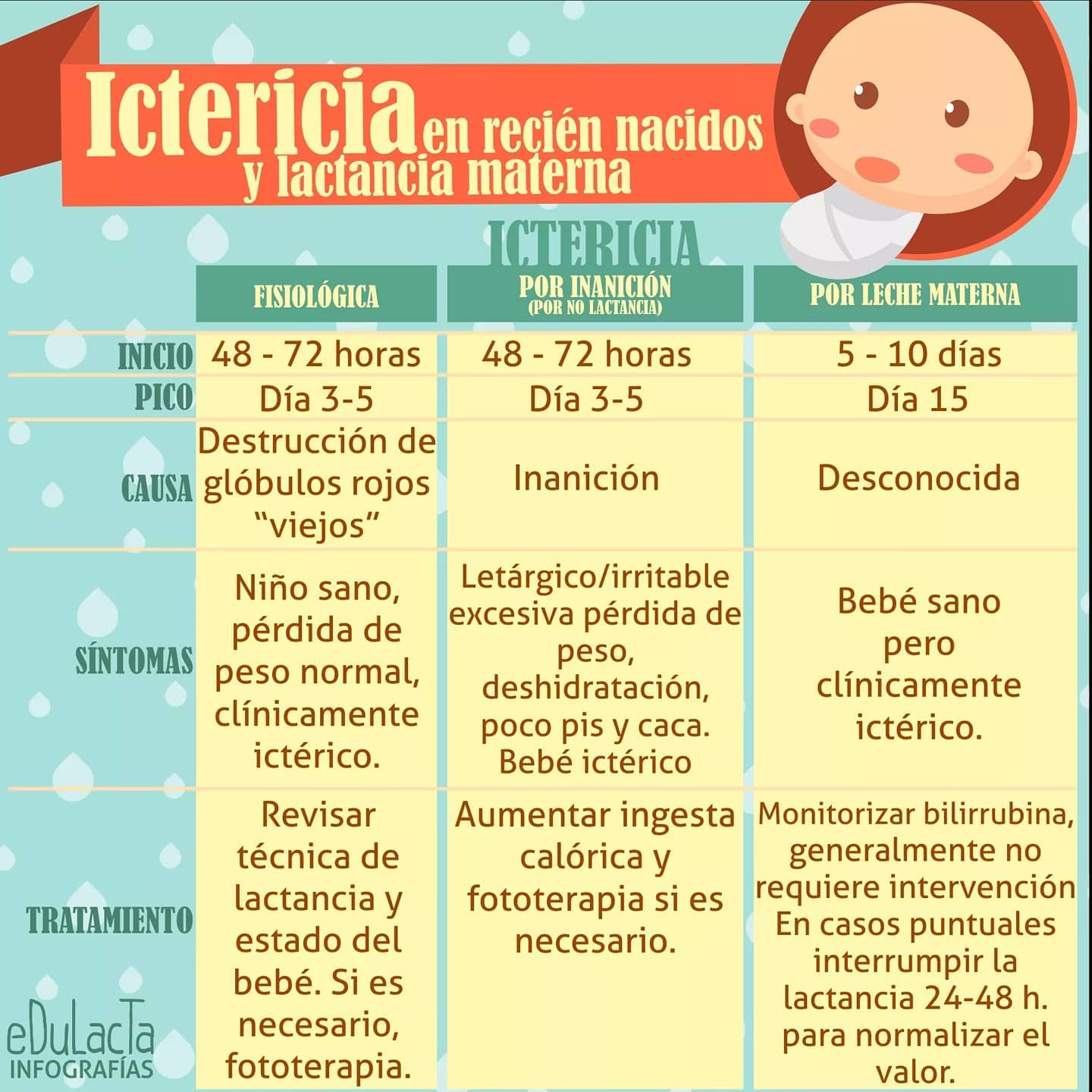 Edulacta - ICTERICIA Y LACTANCIA MATERNA Aquí tenéis un resumen de ...