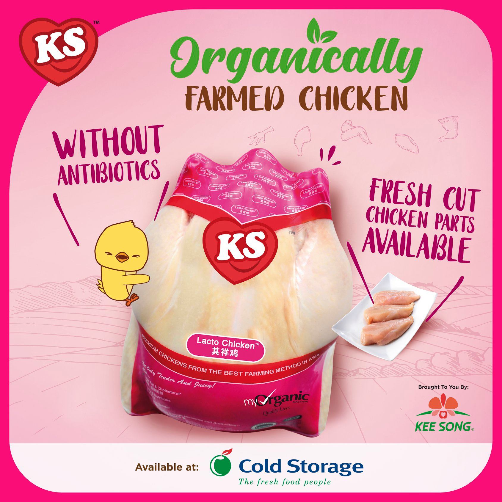 Kee Song Group 其祥食品集团 Exciting News To Share We Are Making It Convenient For You To Get Our Chickens We Have Partnered With Cold Storage To Make Ks Lacto Chicken