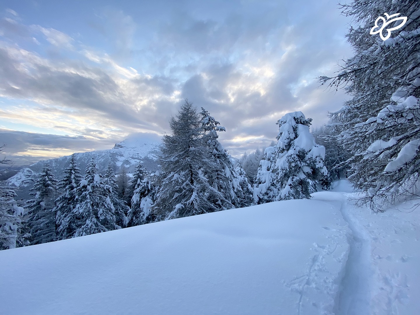 Visit Trentino - A deep rut in the deep snow give you a...