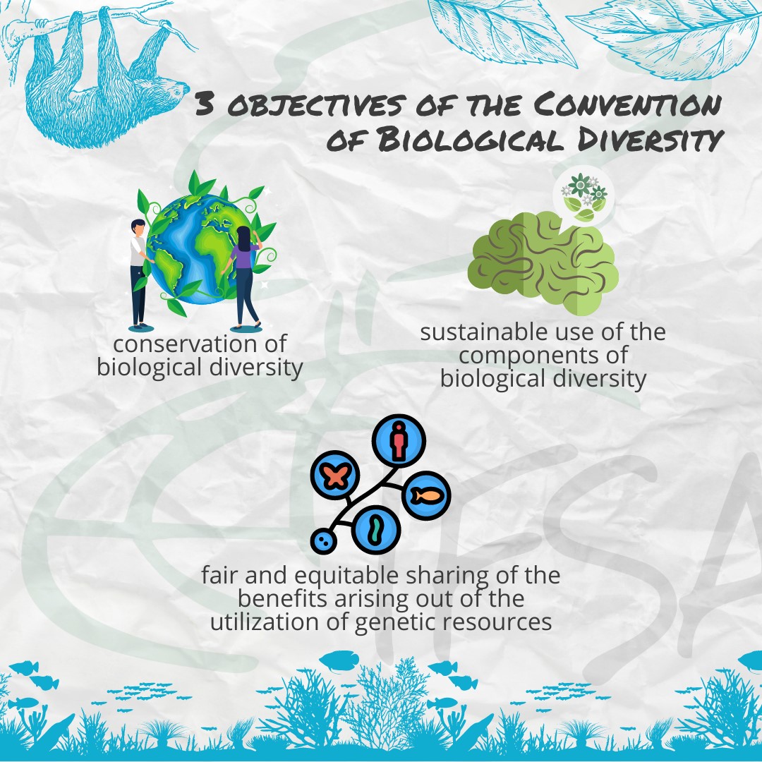 IFSA - Biodiversity is the foundation of human society and the economy ...