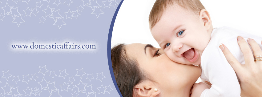 Domestic Affairs Agency | Beverly Hills CA