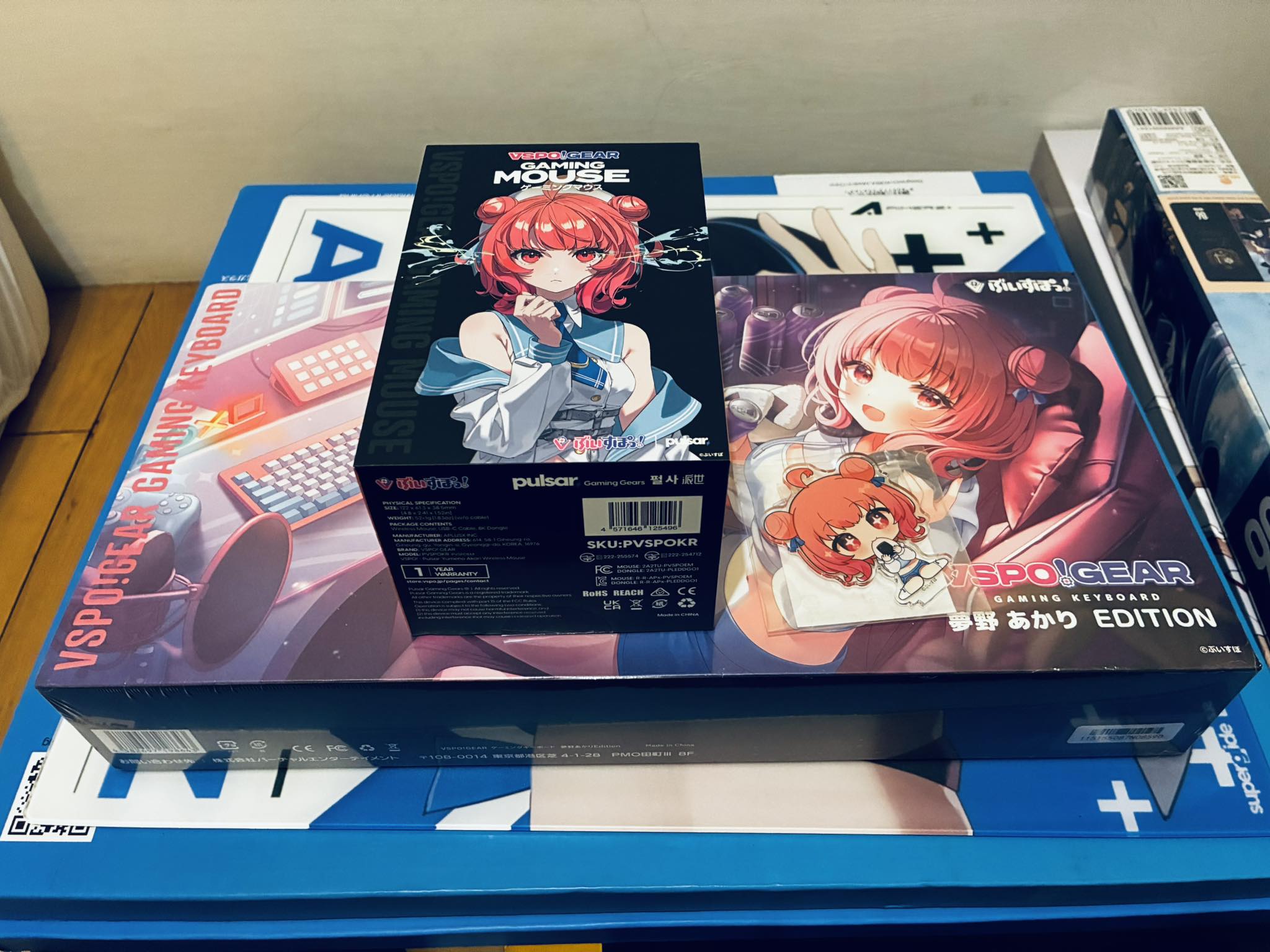 本本匠】VSPO ぶいすぽっ！ フェス2025 ライブイベント「DIAMOND in 
