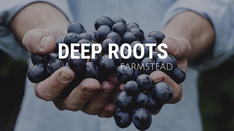 Deep Roots Farmstead