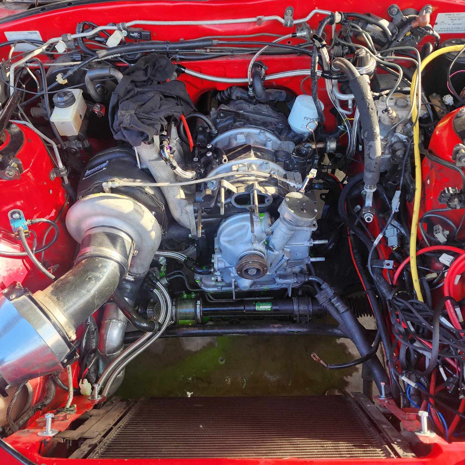 Cursed N Cured Cars