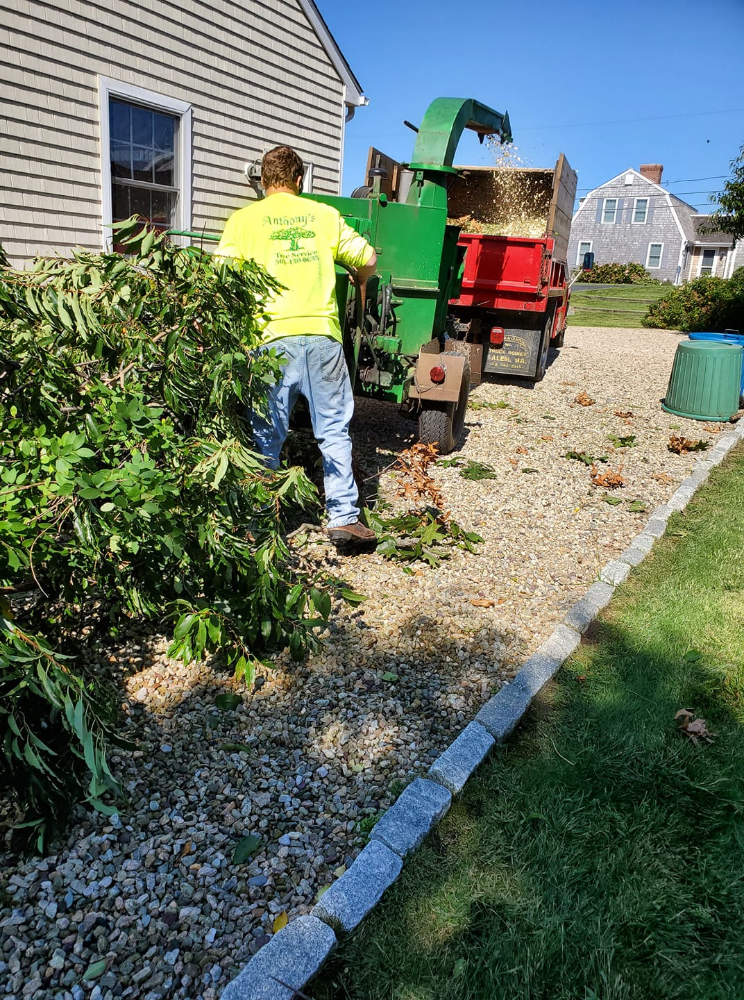 Anthony's TREE Services