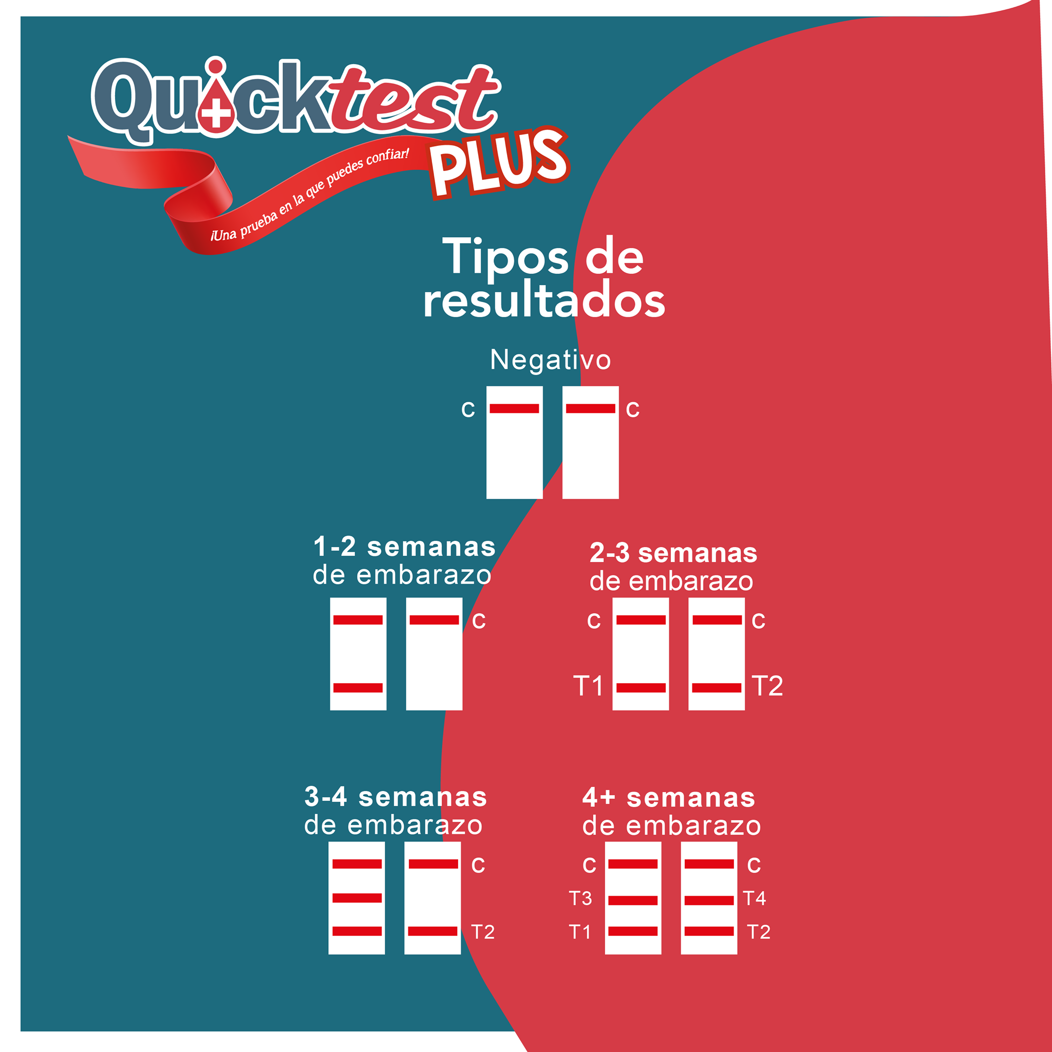 Quicktest - Conoce los tipos de resultados que QUICKTEST... | Facebook