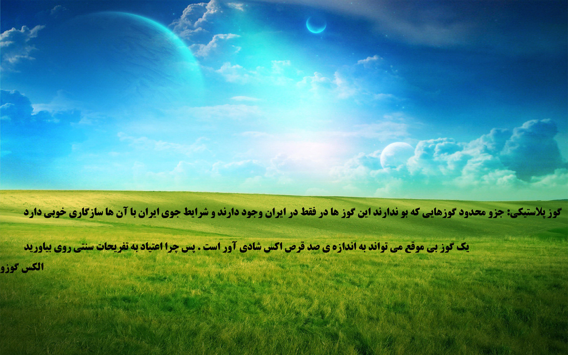 گوز پلاستیکی