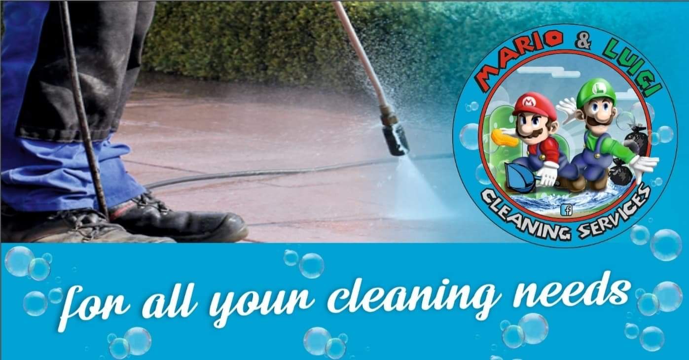 Mario & Luigi's Cleaning Services