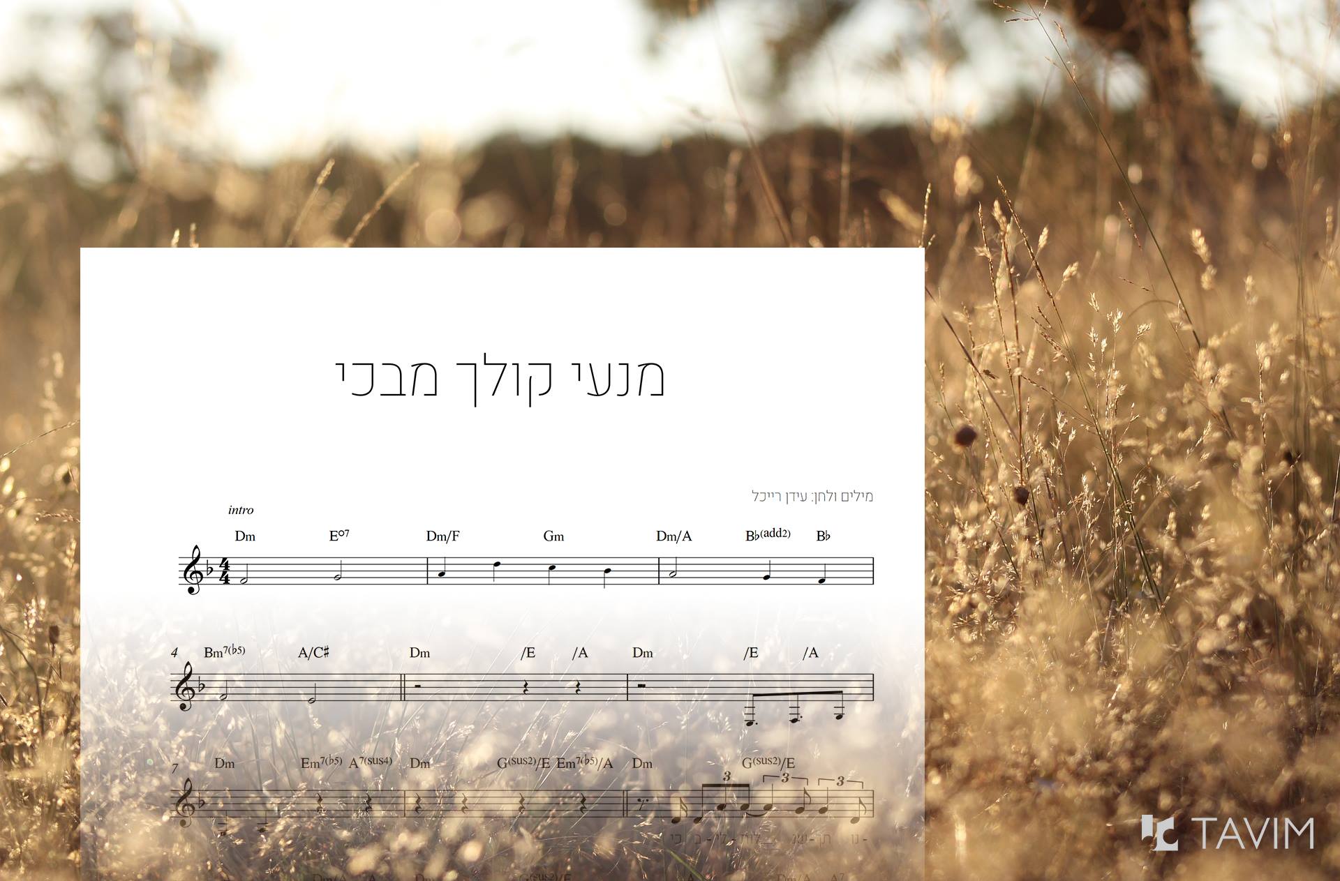 תווים