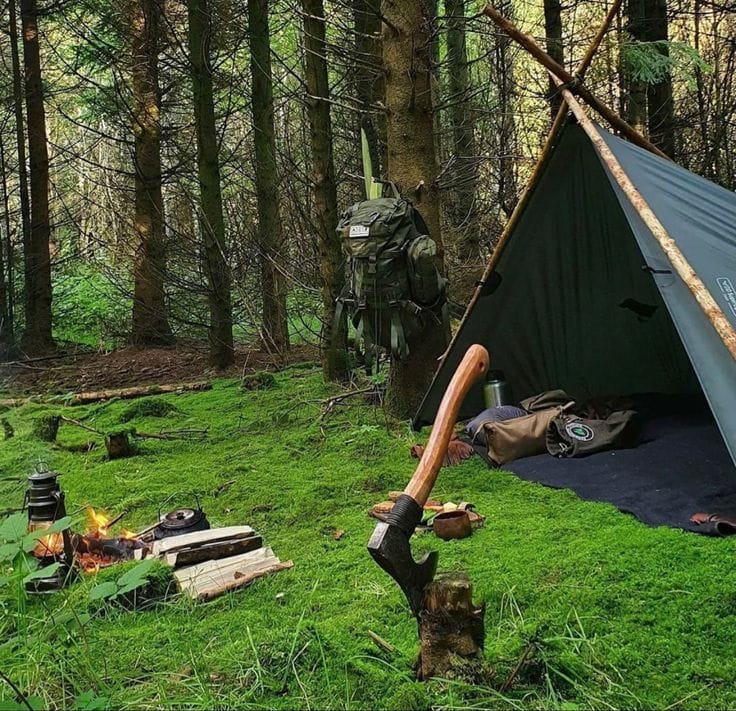 Anyone out there know where to find a Moss Tent Works Parawing?