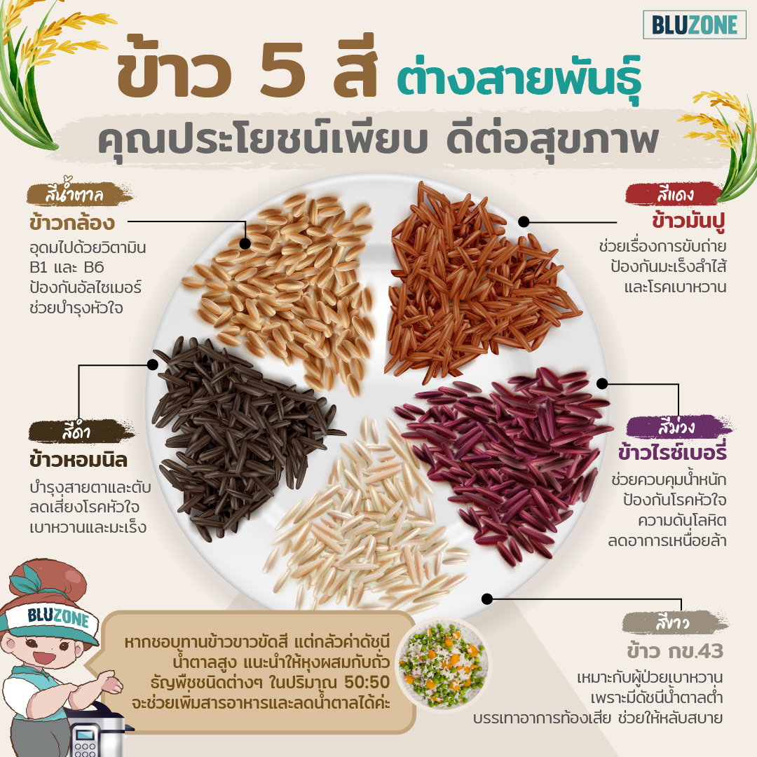 Bluzone - ‘ข้าว’ เป็นอาหารคู่บ้านของคนไทย แต่รู้หรือไม่คะ...