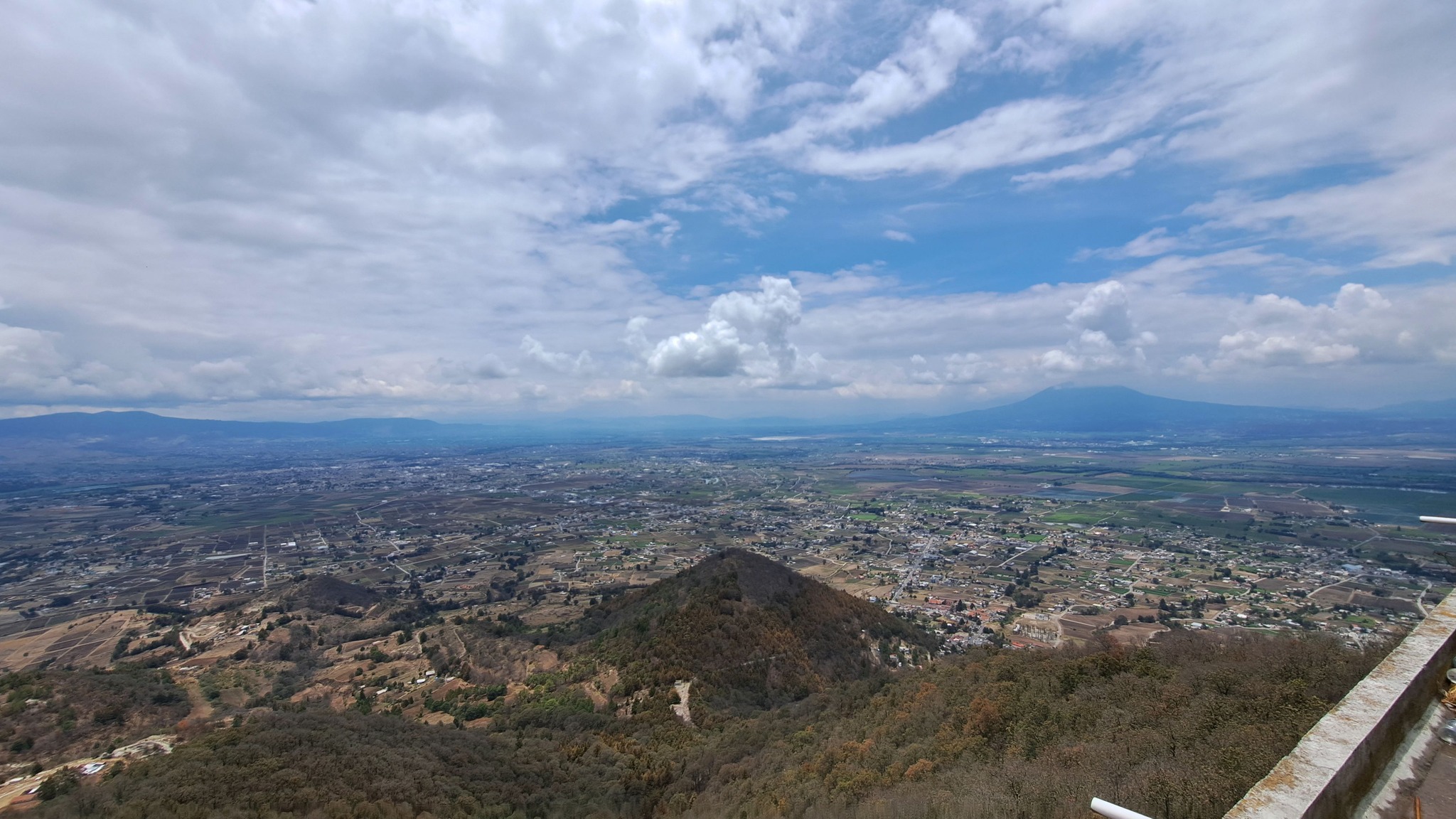 Ecological Research Azcatl - 𝗖𝗮𝘀𝗰𝗮𝗯𝗲𝗹 𝘁𝗿𝗼𝗽𝗶𝗰𝗮𝗹 𝘾𝙧𝙤𝙩𝙖𝙡𝙪𝙨 𝙩𝙤𝙩𝙤𝙣𝙖𝙘𝙪𝙨 Es ...