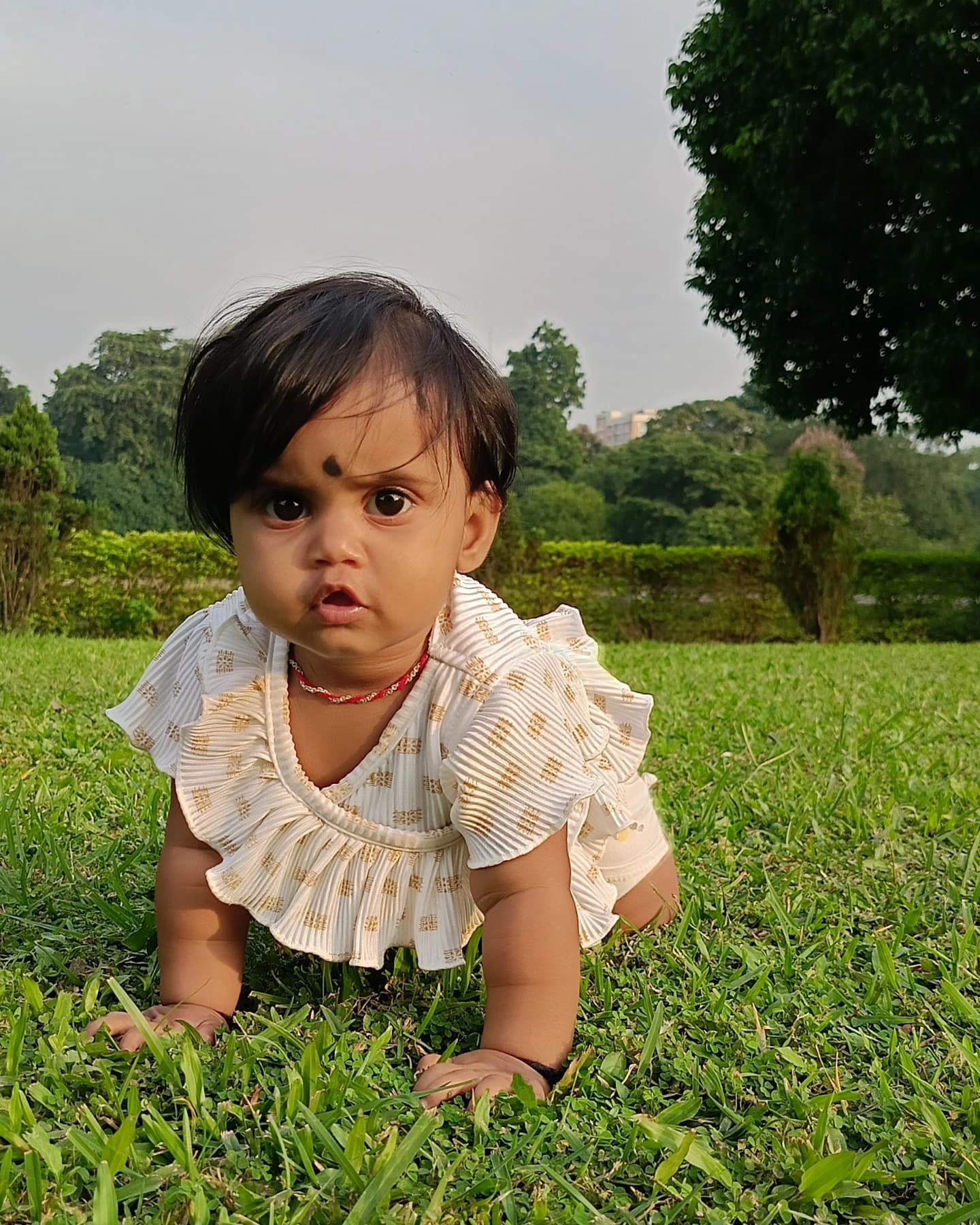 Mohit Raj Sandy