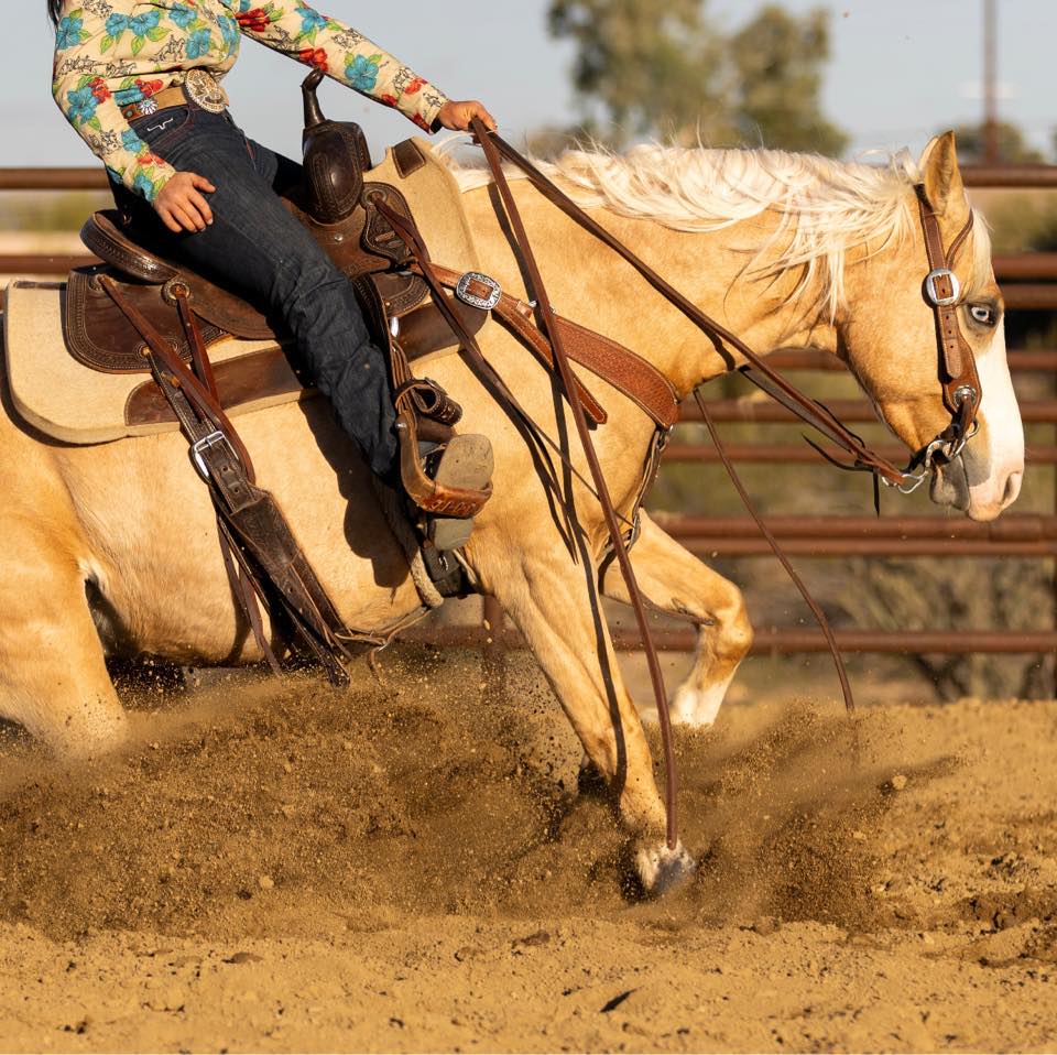 “Wynona” 6yo mare by Kit Kat Sugar o/o an own daughter of Cats Merada 💥 ...