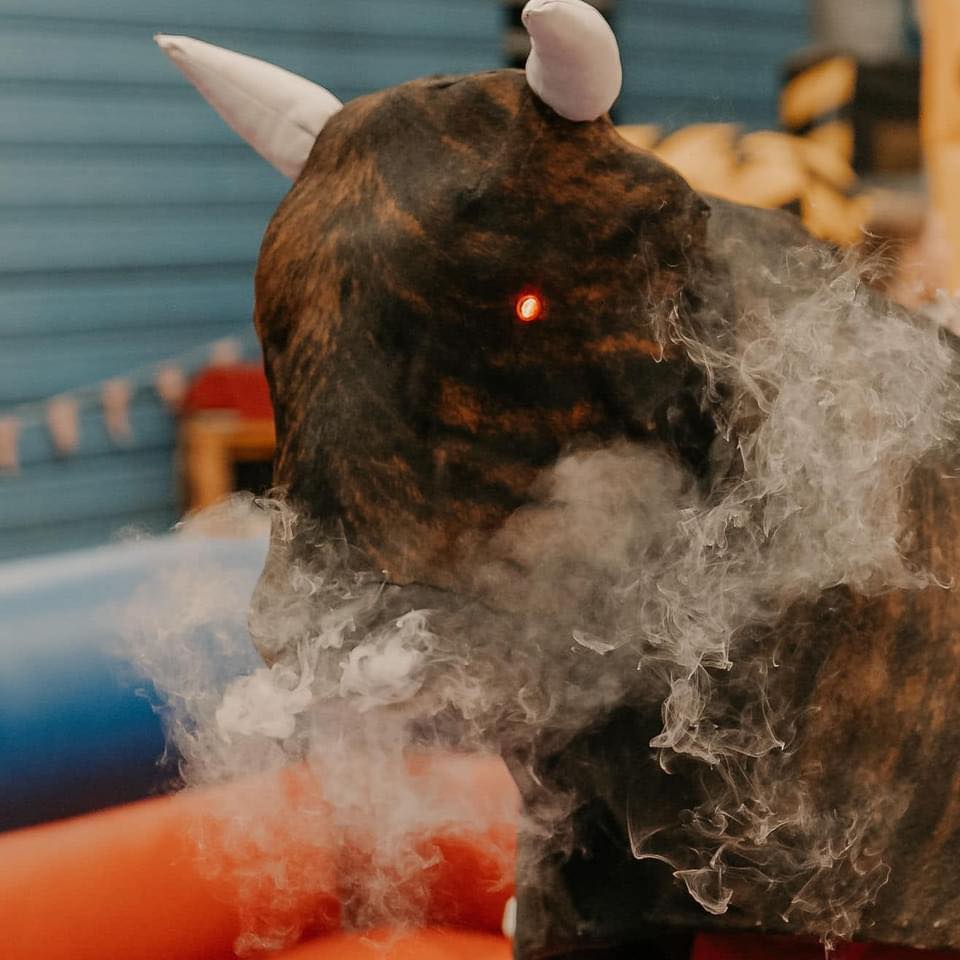 Buck Up Mechanical Bull Rental