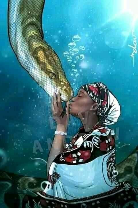 Inkaba Yomndiki Nomndawo