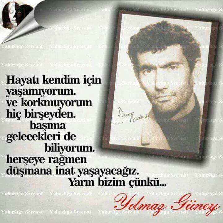 Dev-Yol