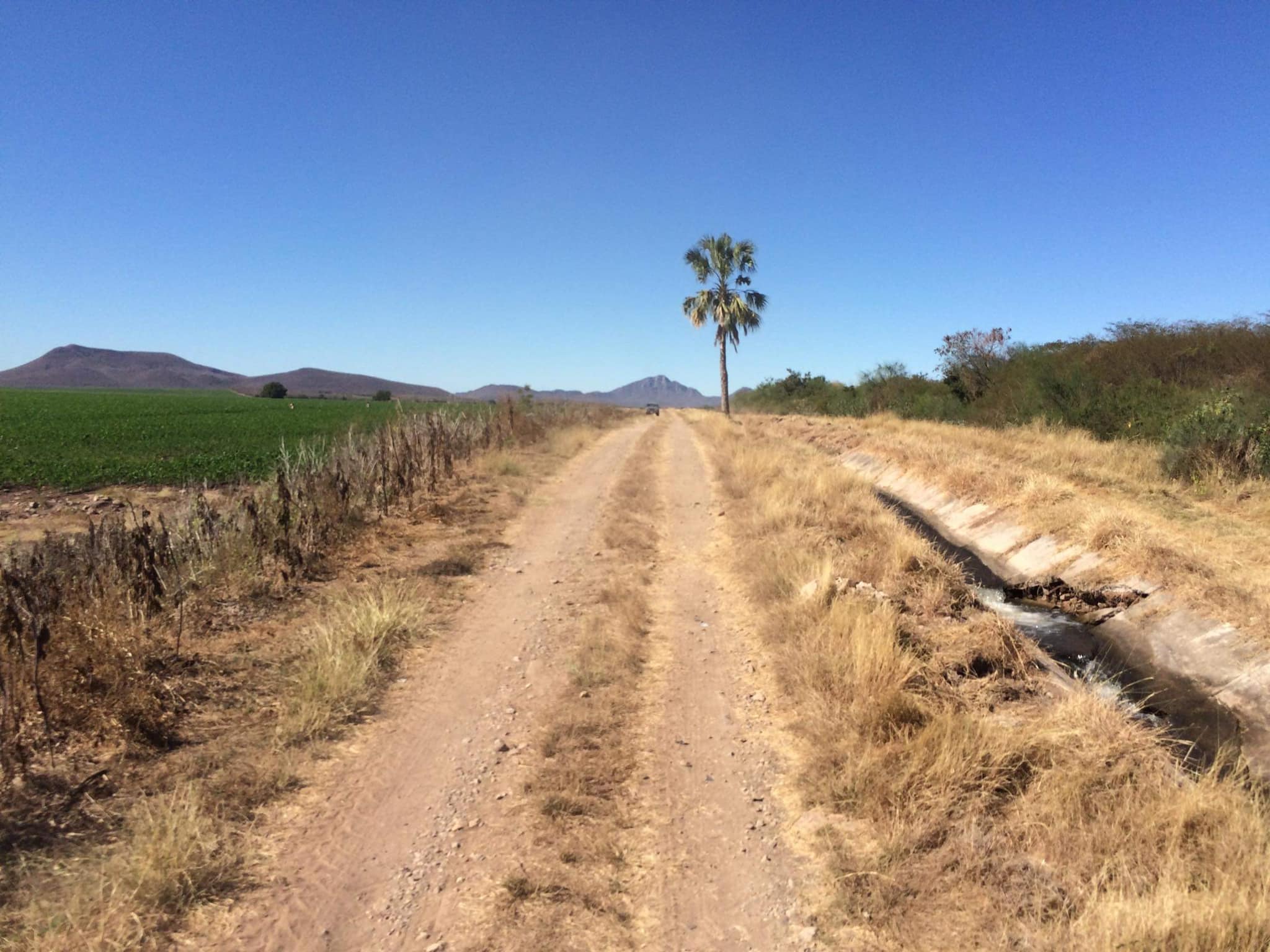 Rancho Viejo Sinaloa Mexico