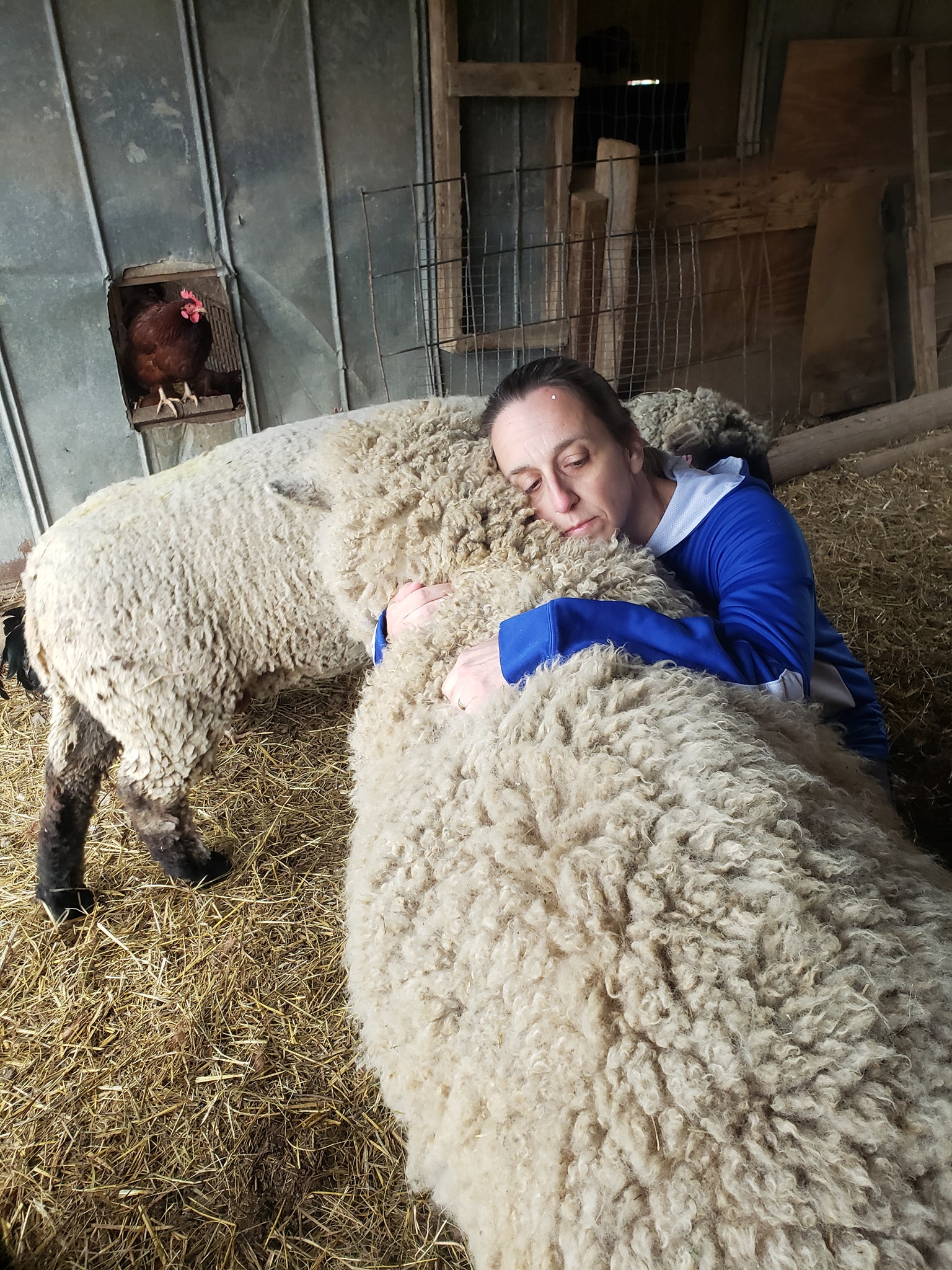 Shepherds' Rise: a Family Farm | Woodbury TN