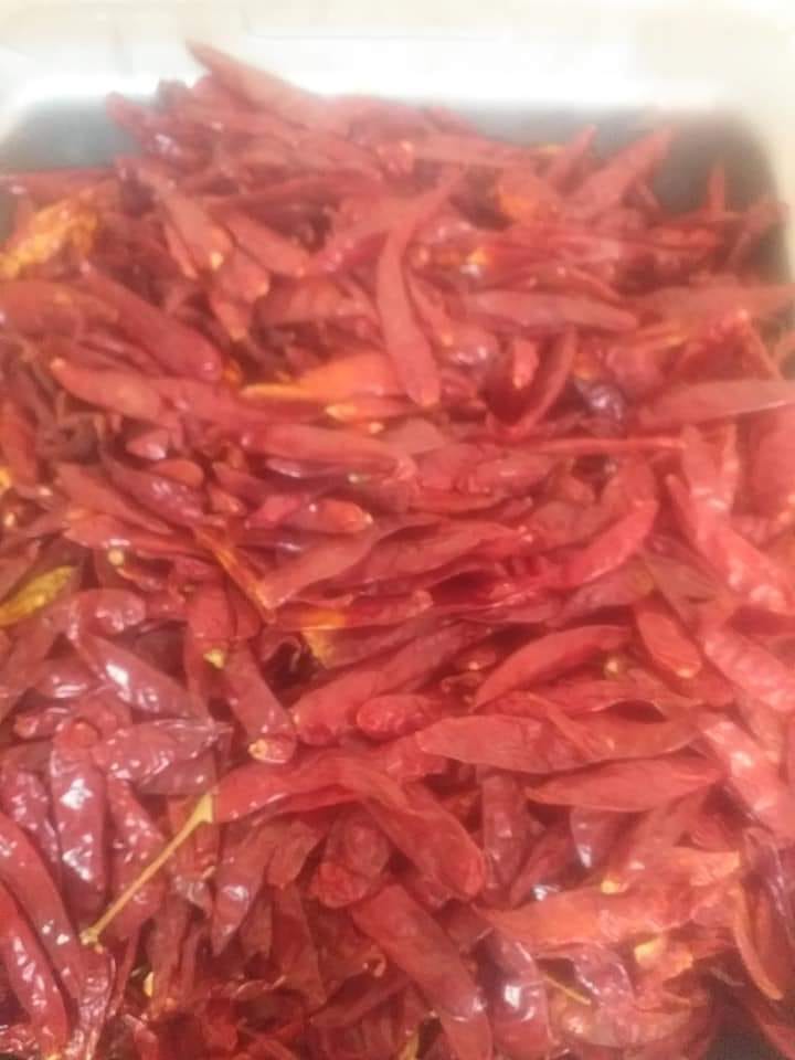 Homemade Red chilli powder