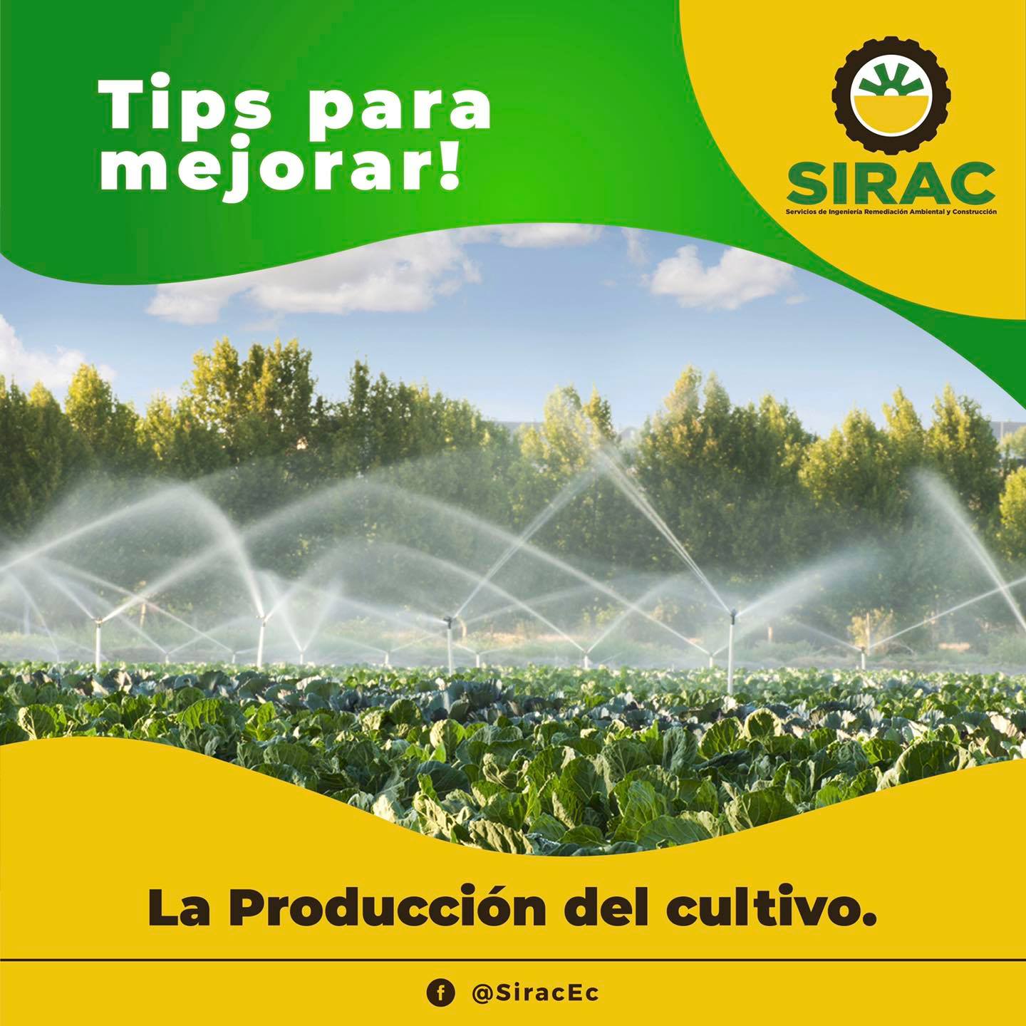 SIRAC Ecuador - ¿Sabes cómo mejorar tu producción de... | Facebook