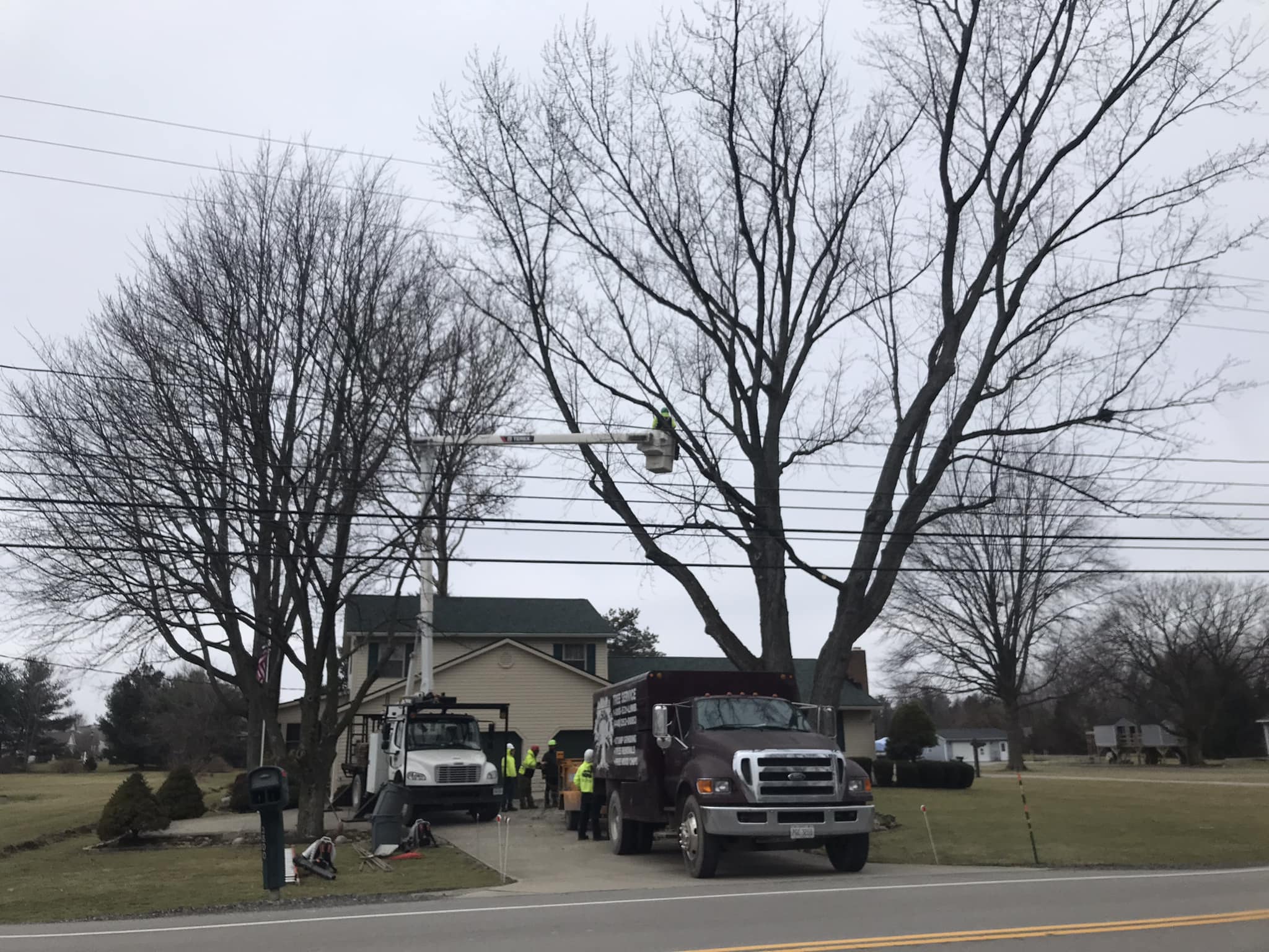 Wilson Tree Service | North Ridgeville OH