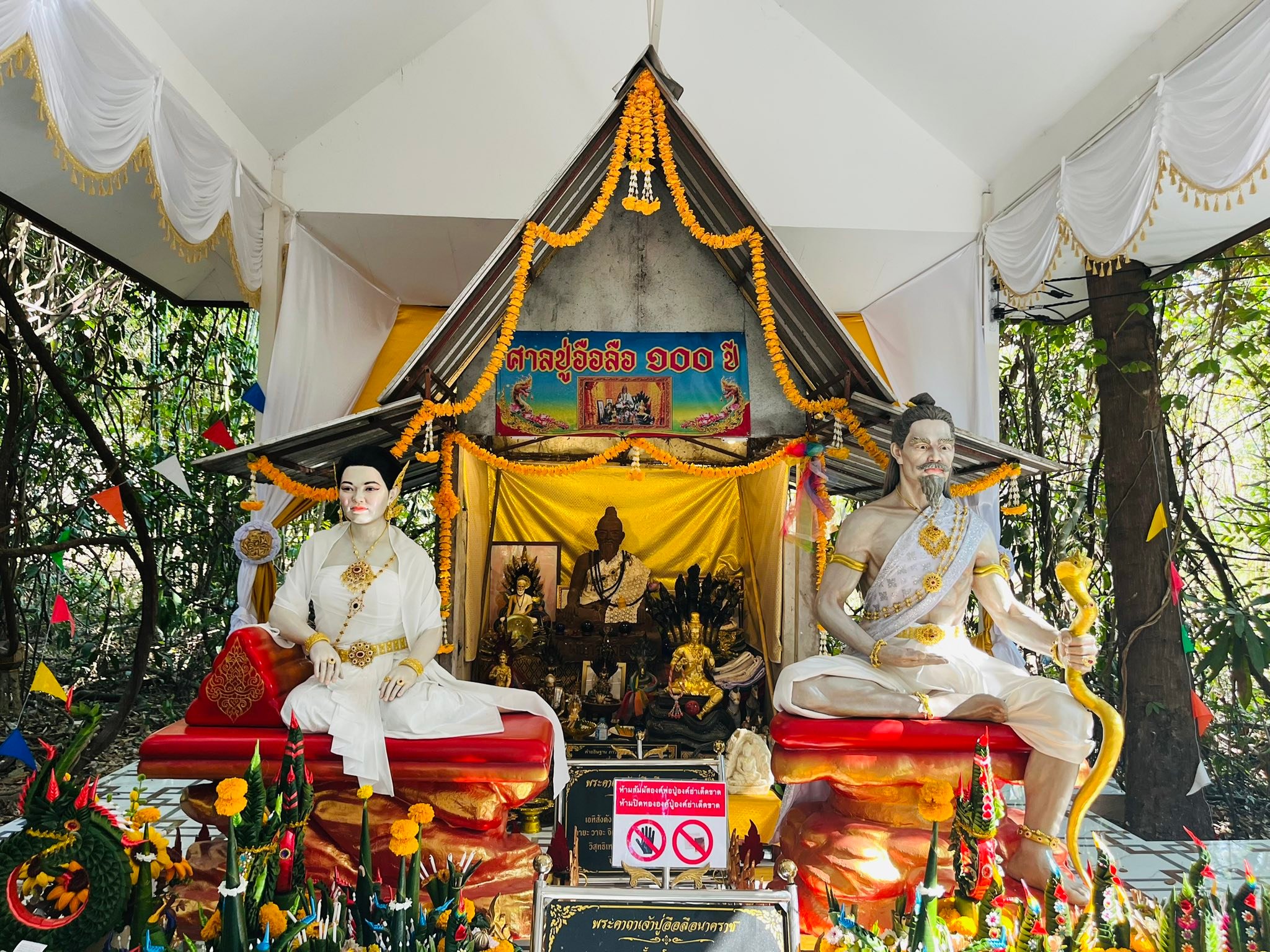หนูนา บางม่วงงาม