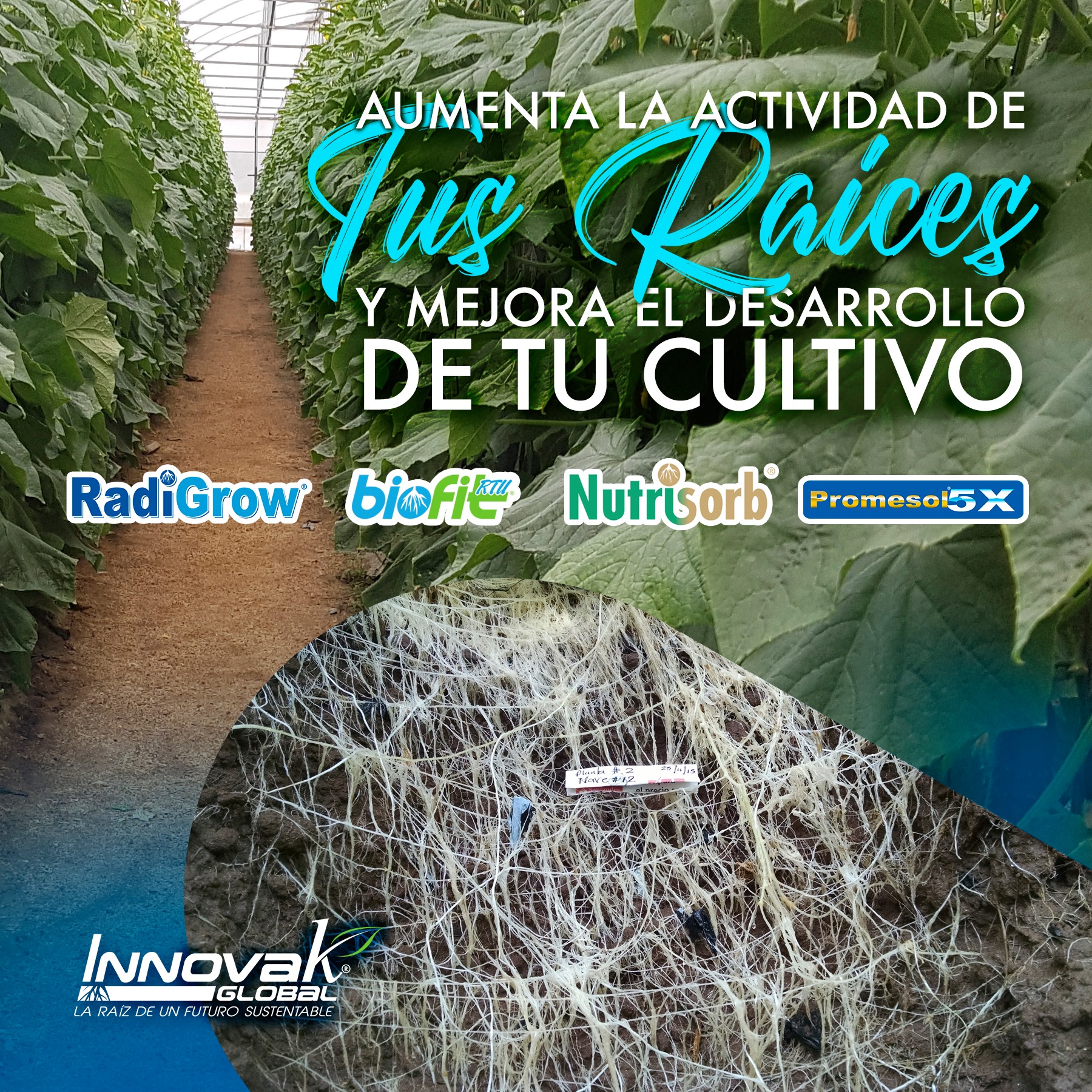 Innovak Global - Sabías que mejorando la expresión y... | Facebook