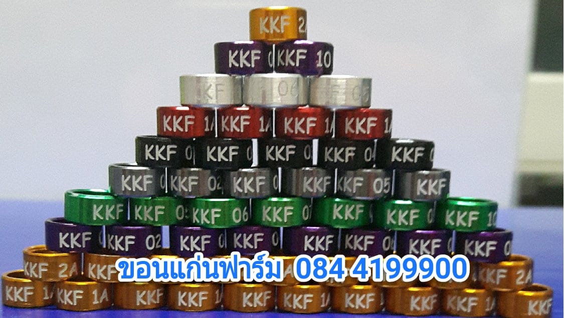 ขอนแก่นฟาร์ม KKF