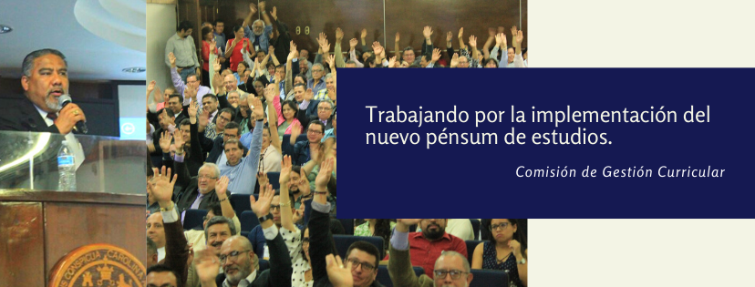 Gestión Curricular FCCEE