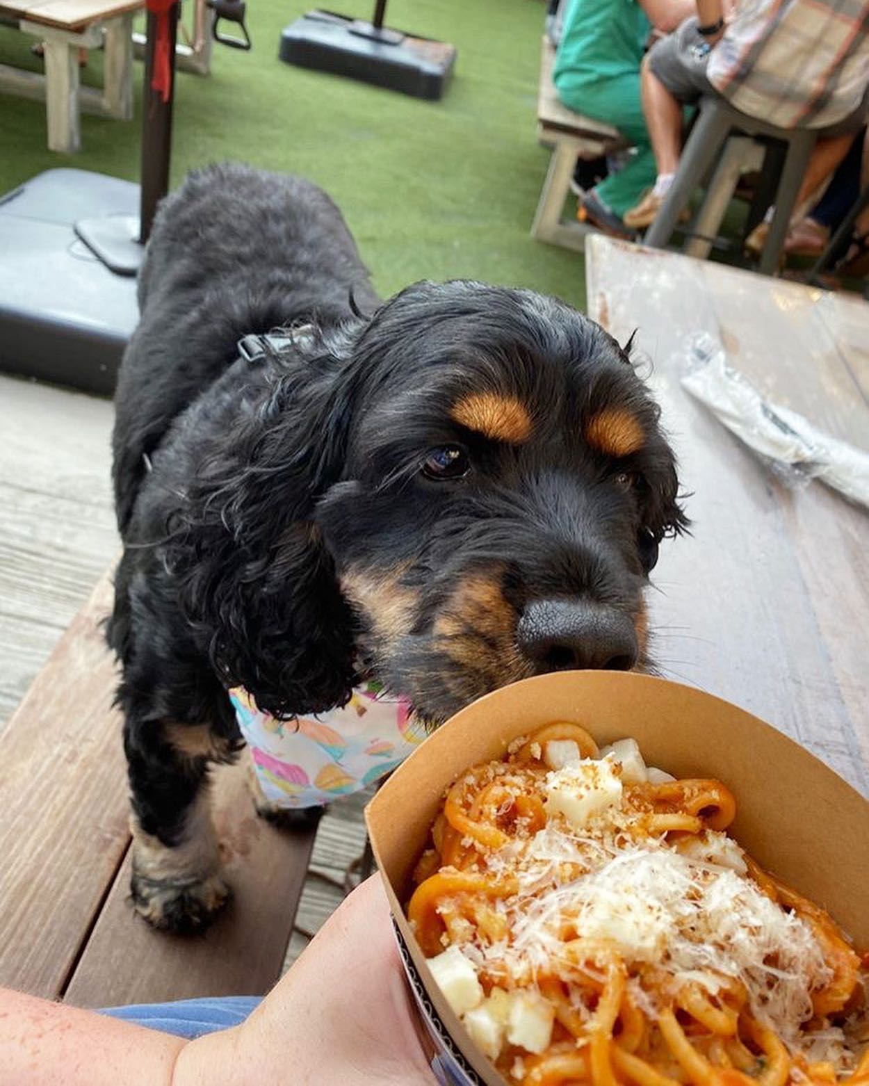 WACKY WEDNESDAYS ARE HERE! • we must... - The Pasta Addict