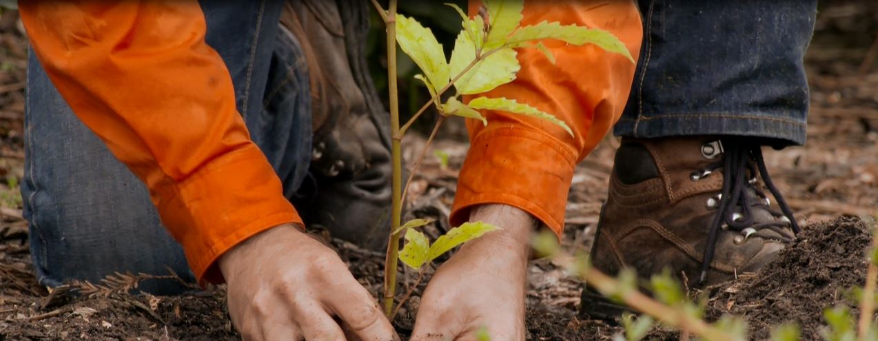 Smart Environmental Manawatu | Feilding
