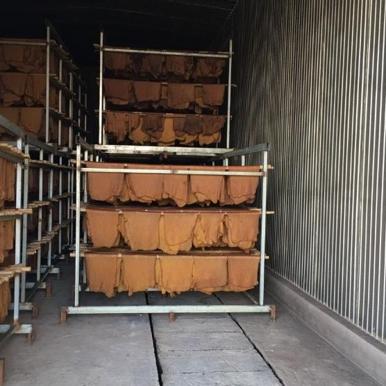 Classification of ribbed smoked sheet is done by observation: + RSS 1 ...