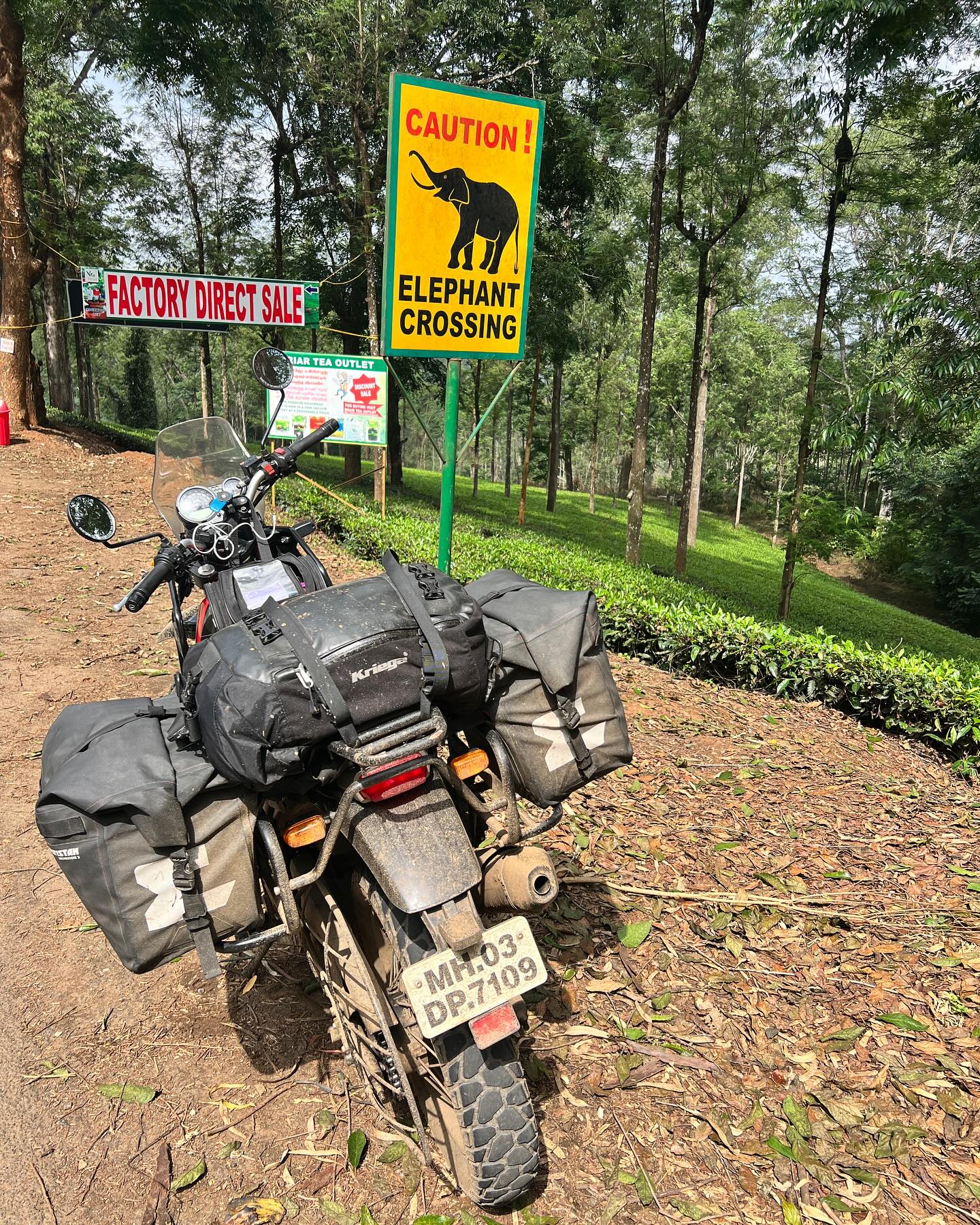 Rogue - Not long to go now until the Adventure Bike Rider Festival at ...