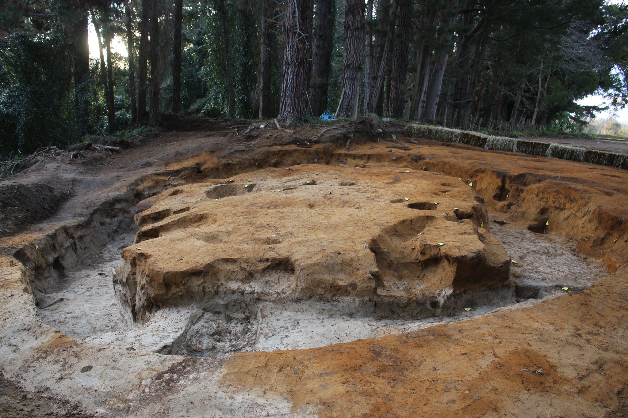 Heritage - One of the things I love about archaeology is that small ...