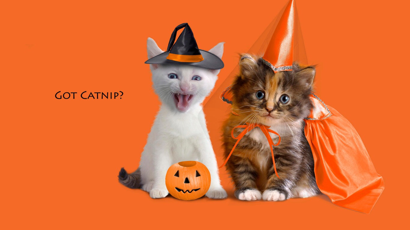 Dan Taylor - Halloween Poll #11: Vampires or Zombies? | Facebook