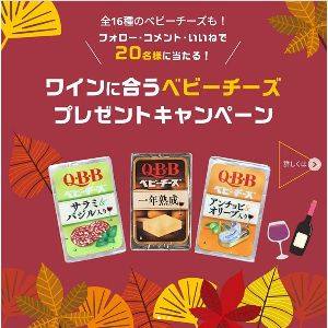 チルド便 Qbb ベビーチーズ 4個入り 12種類セット おまけ付き レアチーズケーキ 2種類の中から1個 Qbbベビーチーズ 食品 飲料 お酒 通販 Amazon