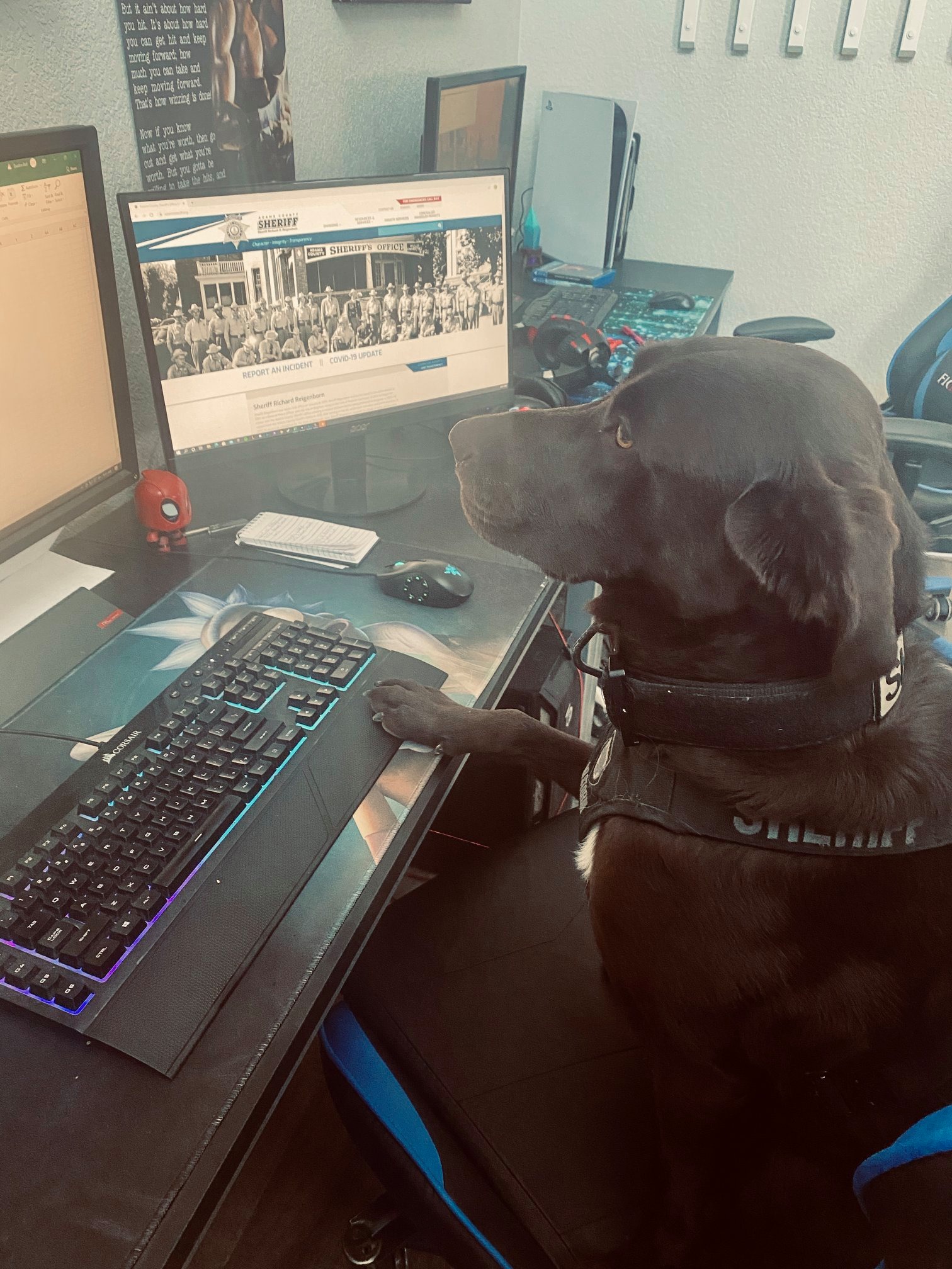 Starting March... - Adams County Sheriff's Office, Colorado | Facebook