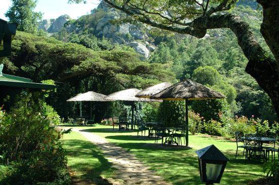 Temba Travel Pine Tree Inn | Nyanga