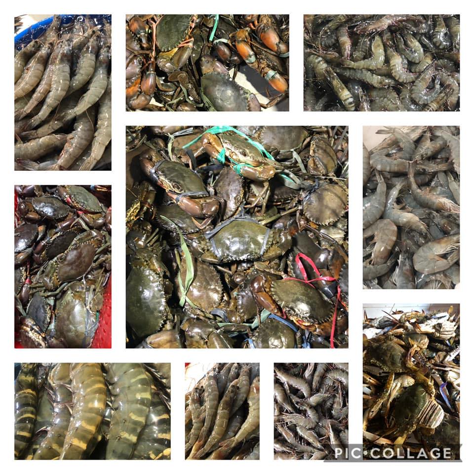 FM Dried... - FM Dried Fish Products from Estancia, Iloilo