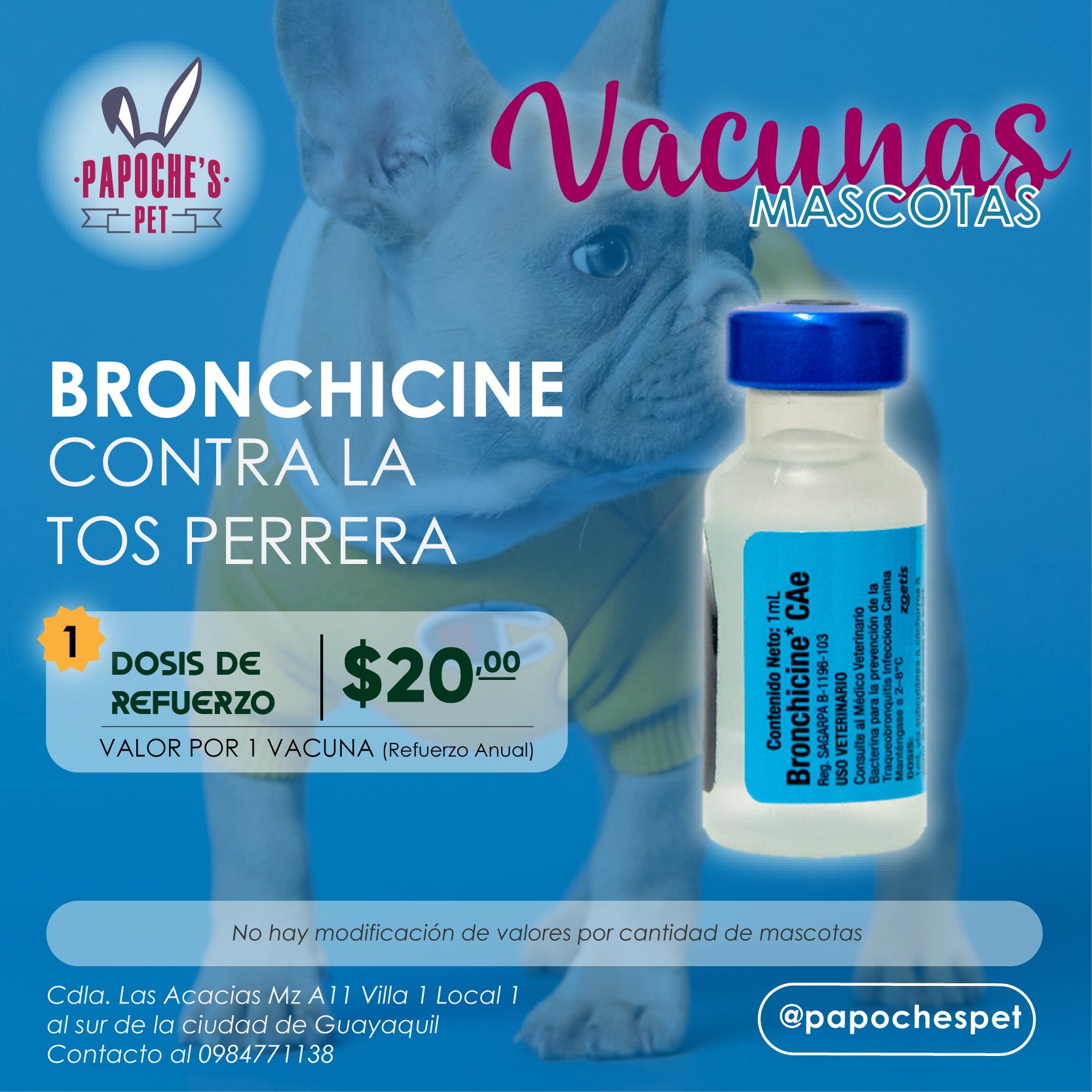 Papoche's Pet - PAPOCHE'S PET VACUNA BRONCHICINE Se...