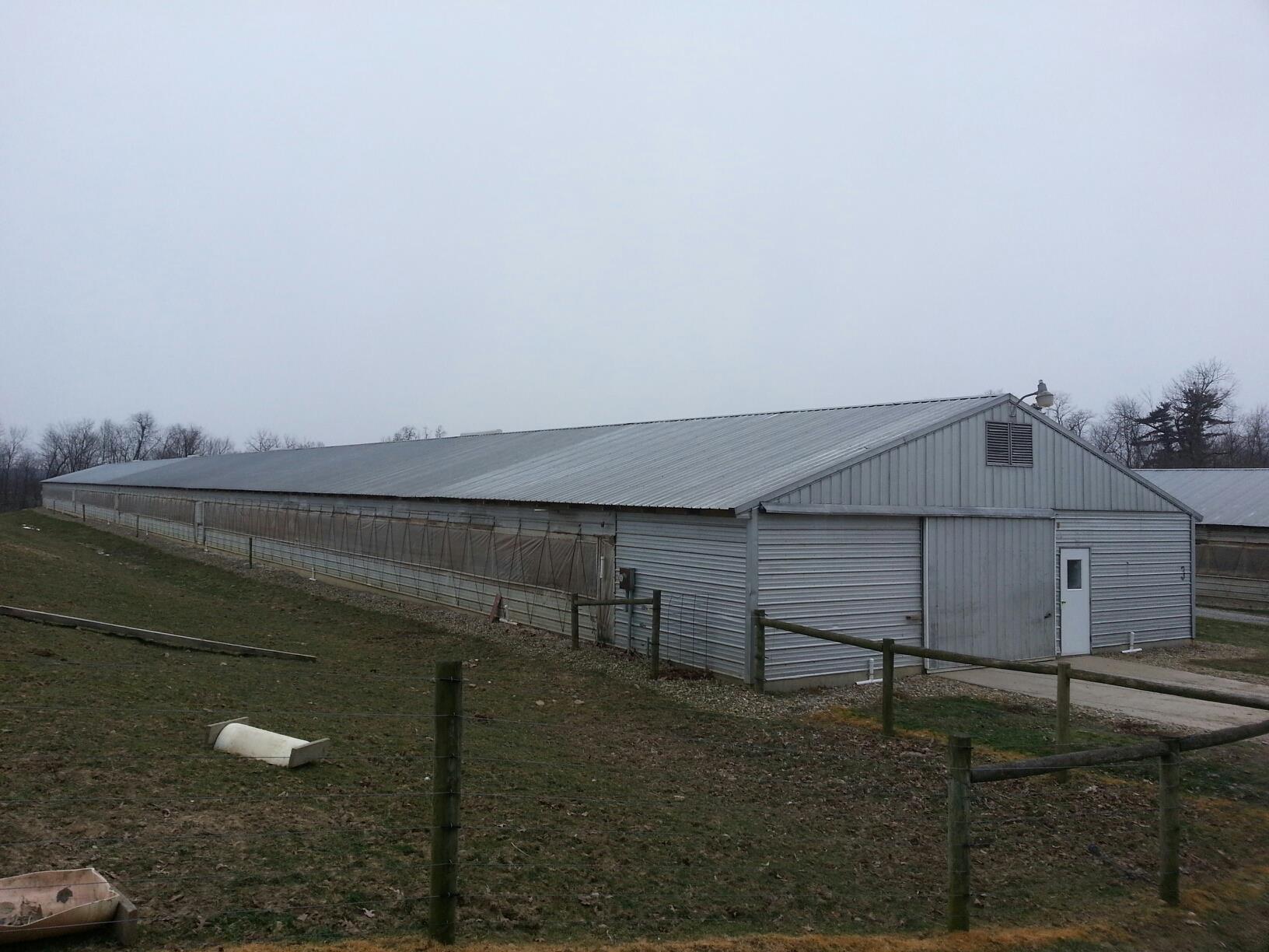 A Yoder Farms