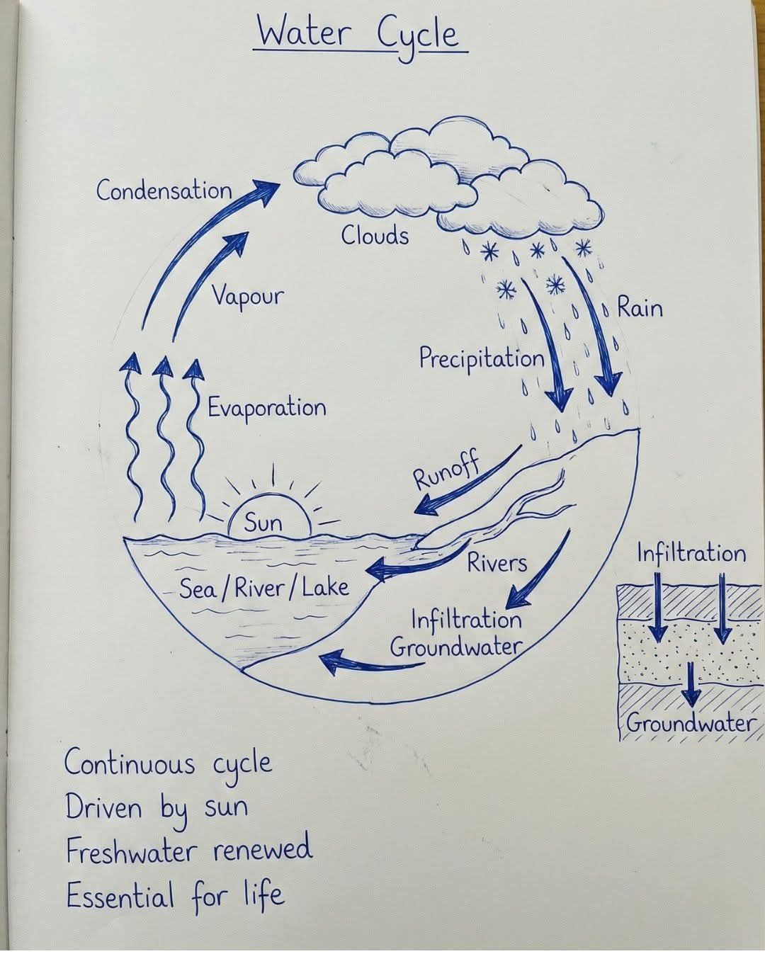 Climate & Environment News | Water cycle... Credit to Shaggy Shaggy ...