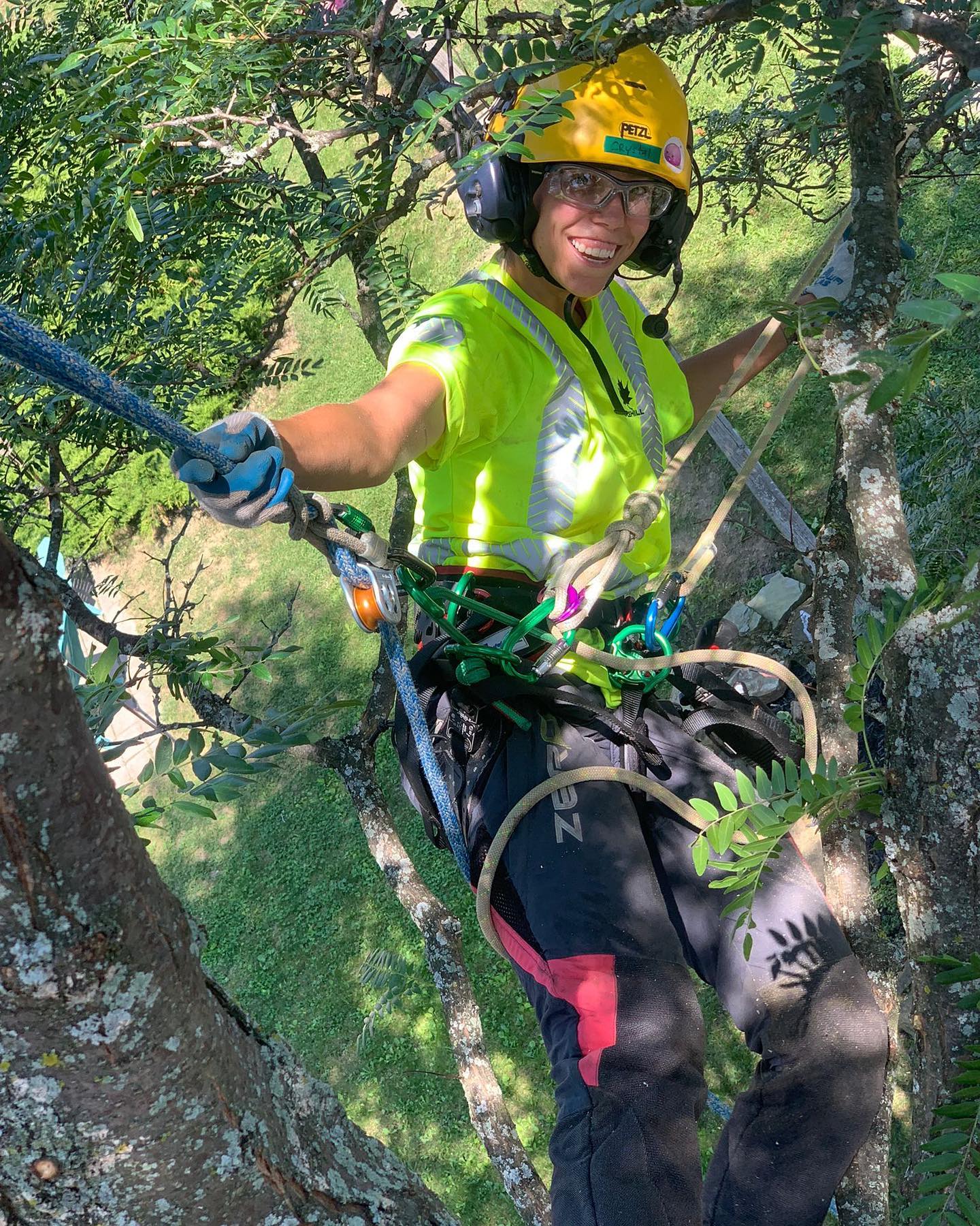 Happy Friday! Here is Crystal... - Maple Hill Tree Services | Facebook