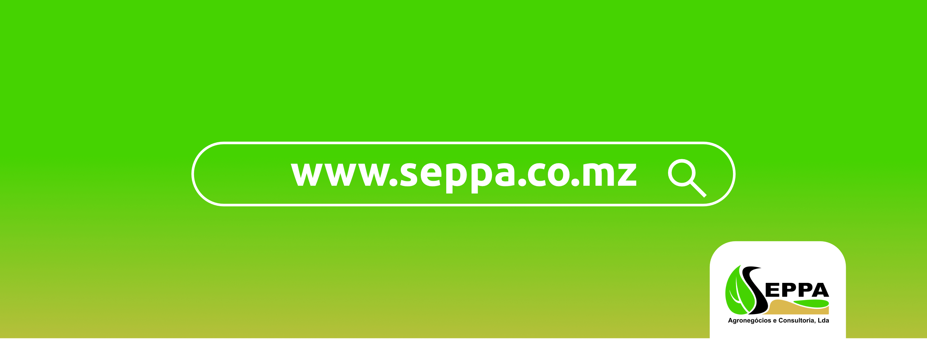 SEPPA - Agronegócios e Consultoria, Lda | Maputo