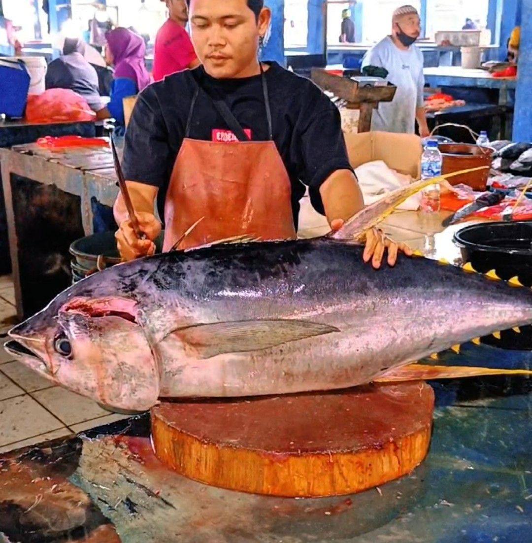 With this speed, you can flip a tuna fish: Cutting the fish the fastest ...