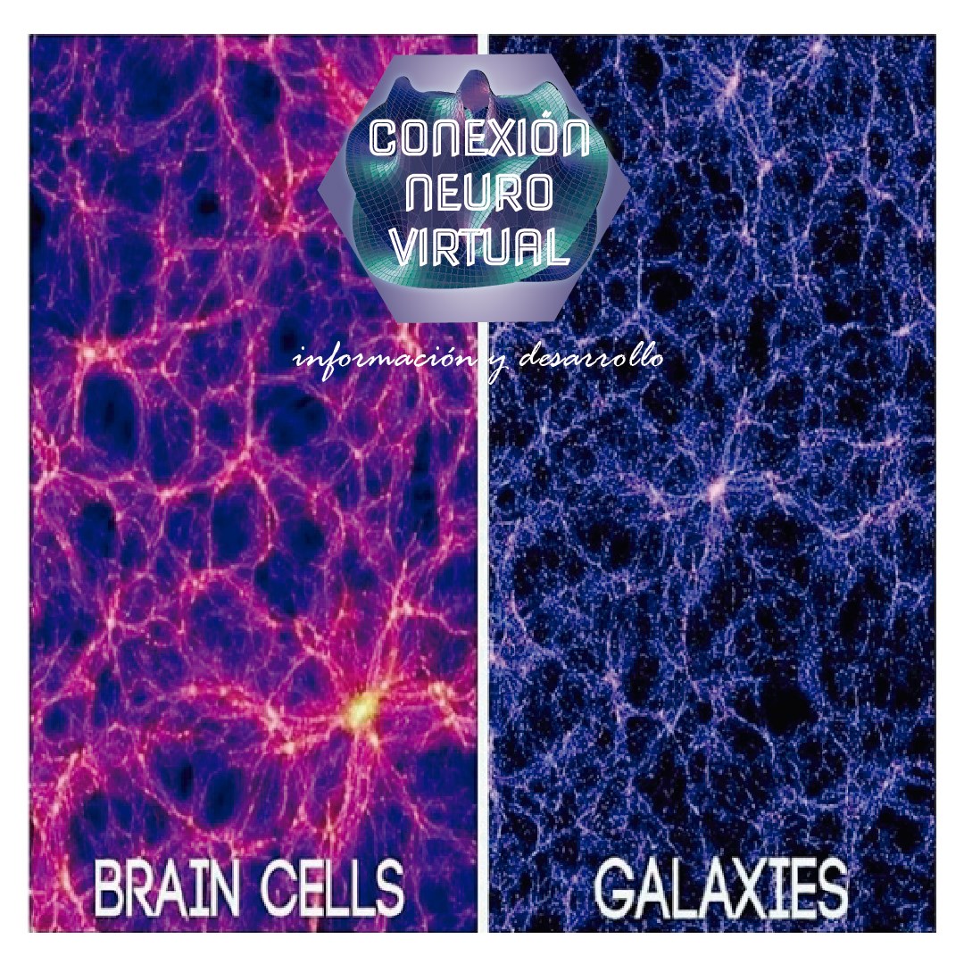 Conexion Neurovirtual