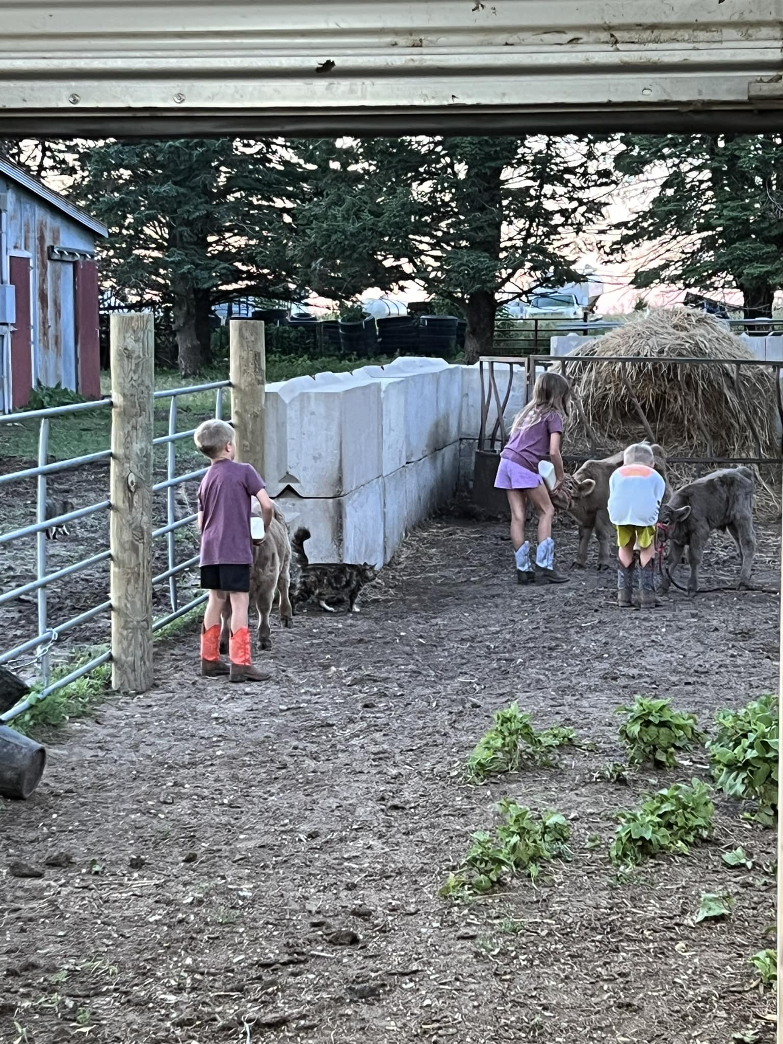Raising R Ranch | Wellsburg IA