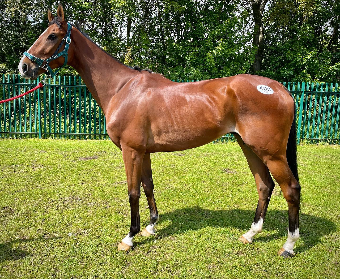 💫 ROCKADENN 💫 One of our three... - Alastair Ralph Racing