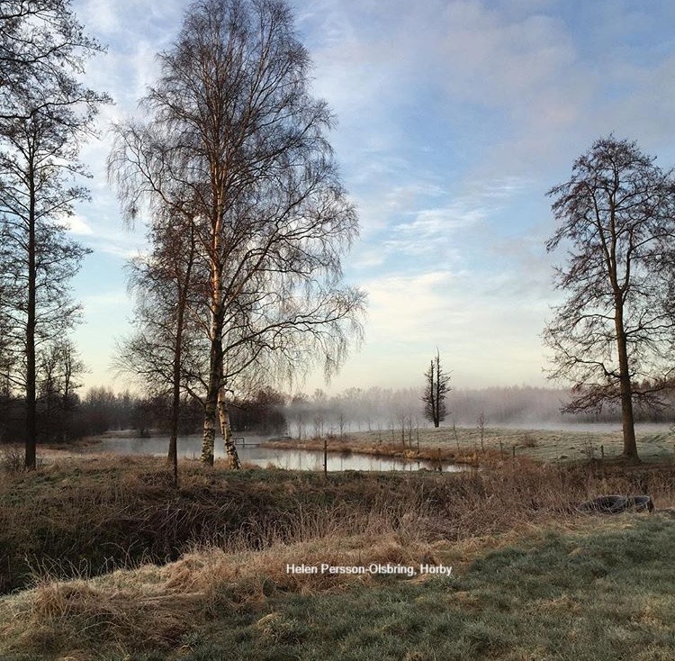Destination Rönne å och Ringsjön